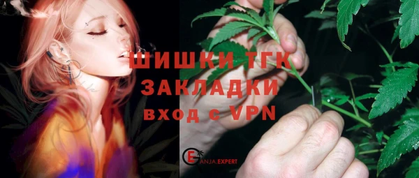 хмурый Алзамай