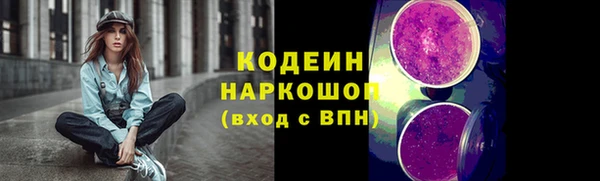 хмурый Алзамай