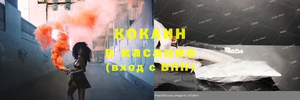 соль ск Алексин