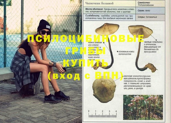 хмурый Алзамай
