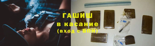гашик Алексеевка
