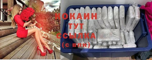 соль ск Алексин