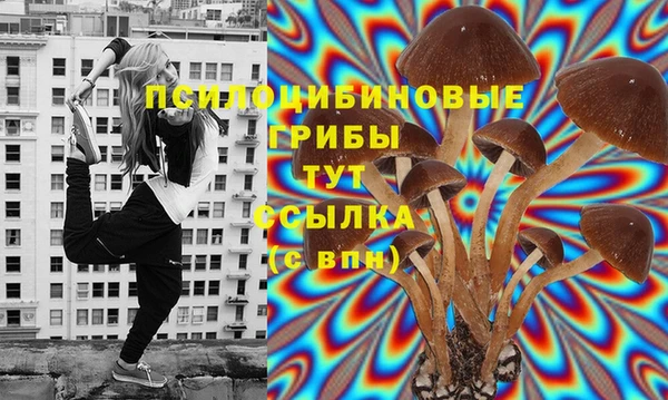 молекула духа Майский