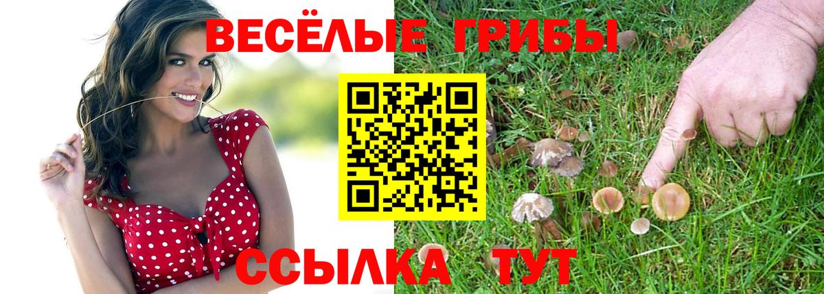 Псилоцибиновые грибы Psilocybine cubensis  Вход с VPN  Старый Оскол 